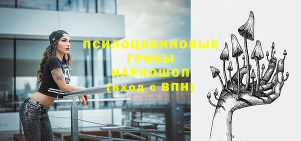 2c-b Карпинск