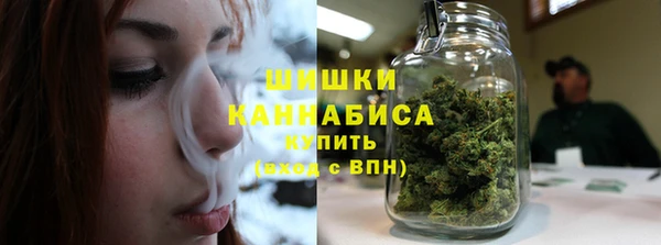 молекула духа Касимов