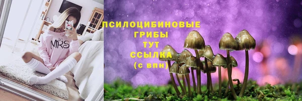 винт Карталы