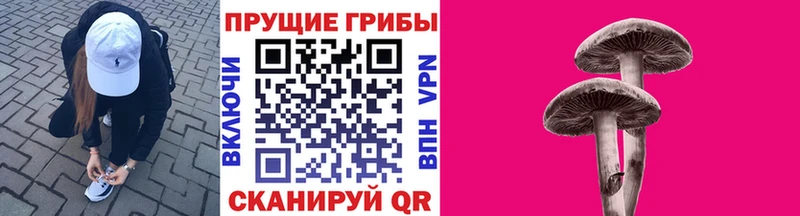 Купить  Волгореченск  Псилоцибиновые грибы прущие грибы 