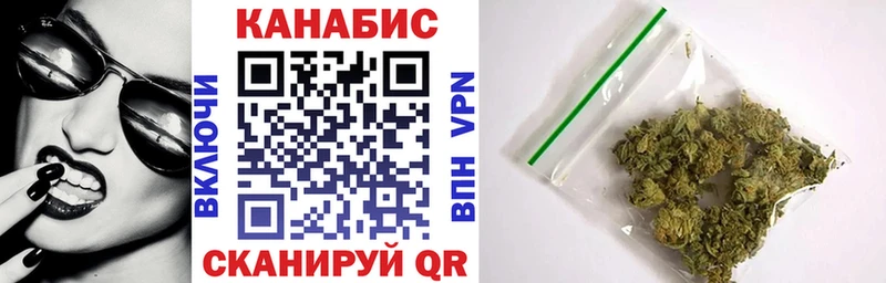 Купить закладки  Волгореченск  Конопля сатива 